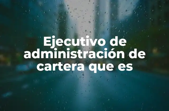Ejecutivo de Administración de Cartera que es