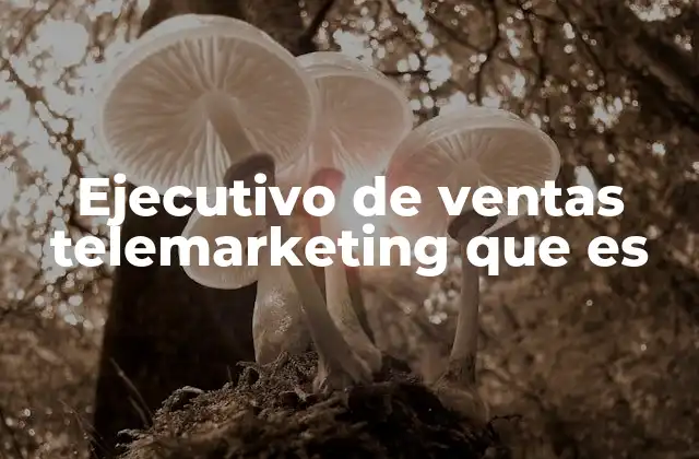 Ejecutivo de Ventas Telemarketing que es