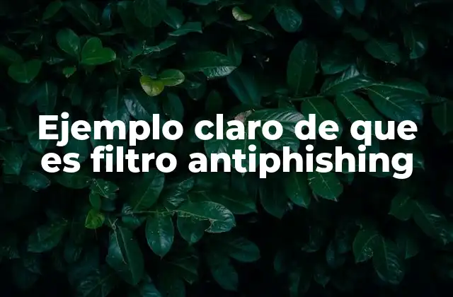 Ejemplo Claro de que es Filtro Antiphishing