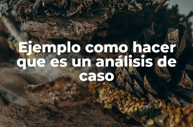 Ejemplo como Hacer que es un Análisis de Caso