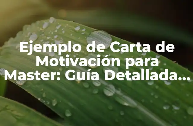 Ejemplo de Carta de Motivación para Master: Guía Detallada y Relevante