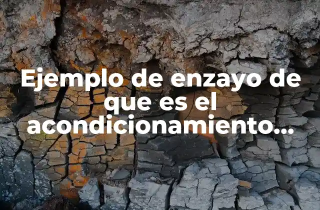 Ejemplo de Enzayo de que es el Acondicionamiento Fisico