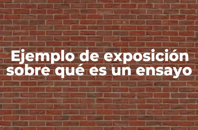 Ejemplo de Exposición sobre Qué es un Ensayo