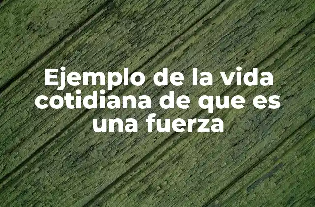 Ejemplo de la Vida Cotidiana de que es una Fuerza