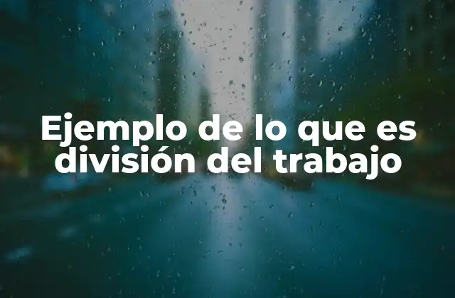 Ejemplo de Lo que es División Del Trabajo 2 Cómo la división del trabajo transforma los procesos productivos