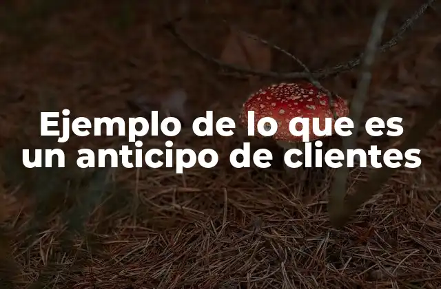 Ejemplo de Lo que es un Anticipo de Clientes