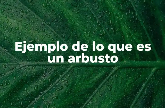 Ejemplo de Lo que es un Arbusto