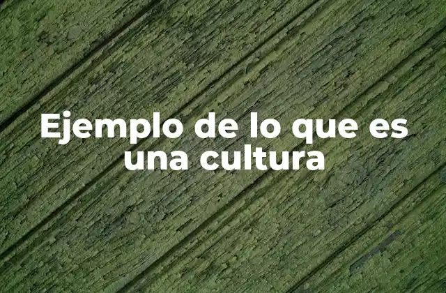 La expresión de una cultura a través de sus manifestaciones