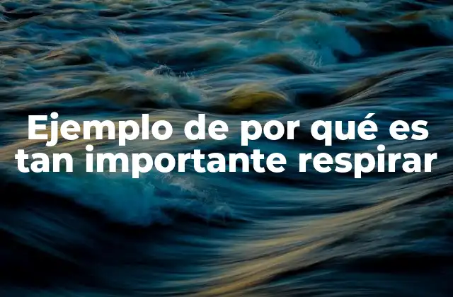 Ejemplo de por Qué es Tan Importante Respirar