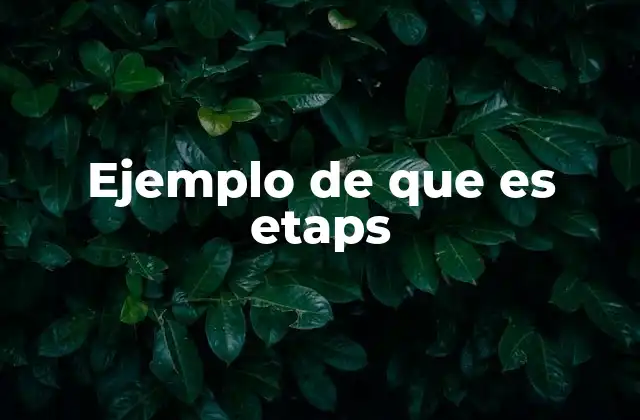 Ejemplo de que es Etaps