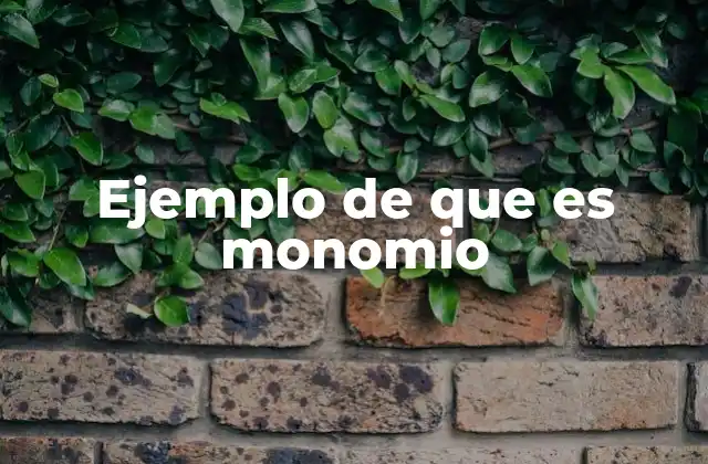 Ejemplo de que es Monomio