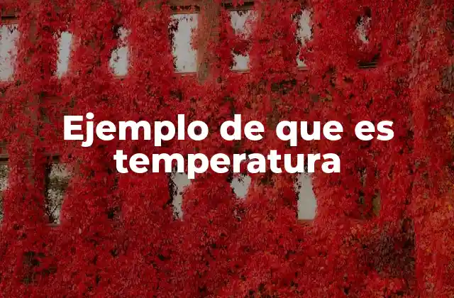 Ejemplo de que es Temperatura