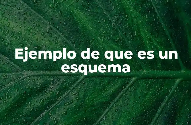Ejemplo de que es un Esquema