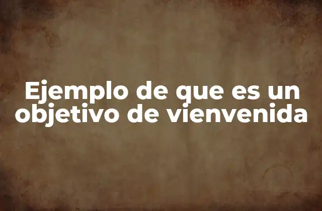 Ejemplo de que es un Objetivo de Vienvenida