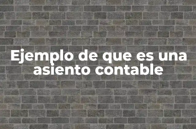 Ejemplo de que es una Asiento Contable