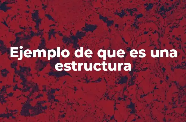 Ejemplo de que es una Estructura