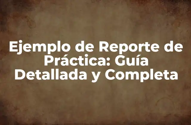¿Qué es un Reporte de Práctica?