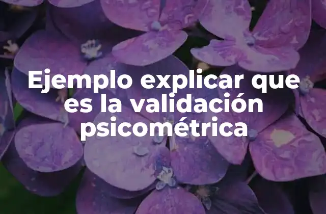 Ejemplo Explicar que es la Validación Psicométrica