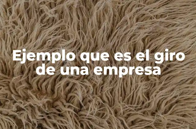 Ejemplo que es el Giro de una Empresa