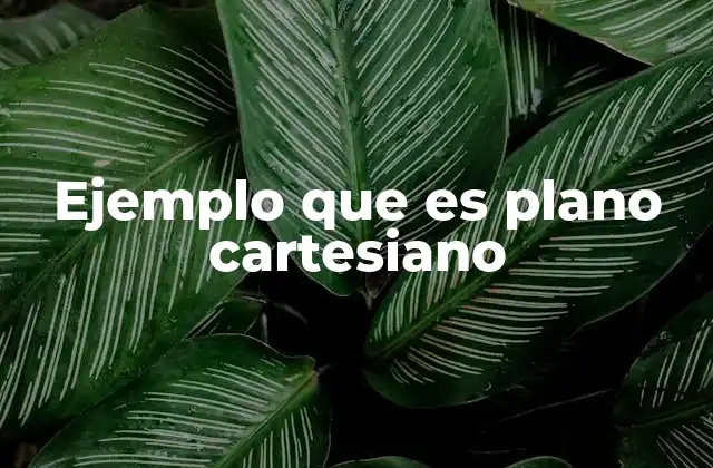Ejemplo que es Plano Cartesiano