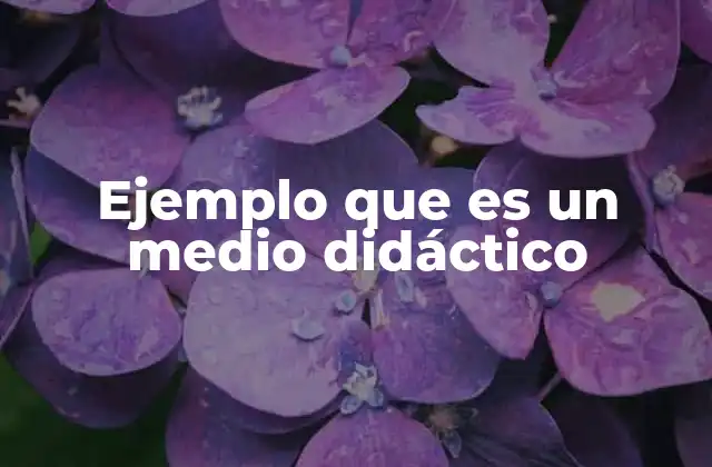 Ejemplo que es un Medio Didáctico