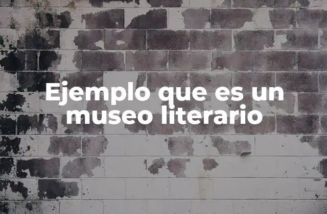 Ejemplo que es un Museo Literario 2 Espacios donde la literatura cobra vida
