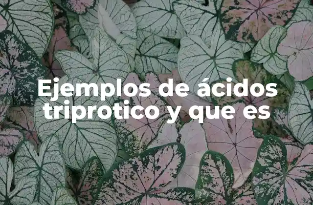 Ejemplos de Ácidos Triprotico y que es