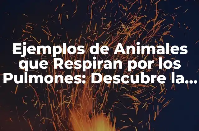 Ejemplos de Animales que Respiran por los Pulmones: Descubre la Diversidad