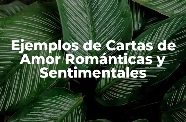 Ejemplos de Cartas de Amor Románticas y Sentimentales
