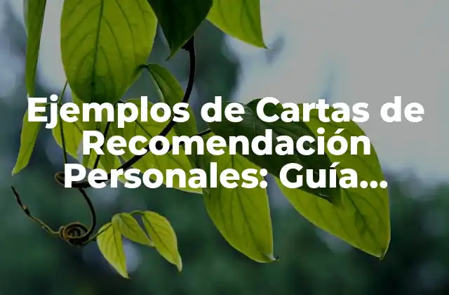 Ejemplos de Cartas de Recomendación Personales: Guía Práctica