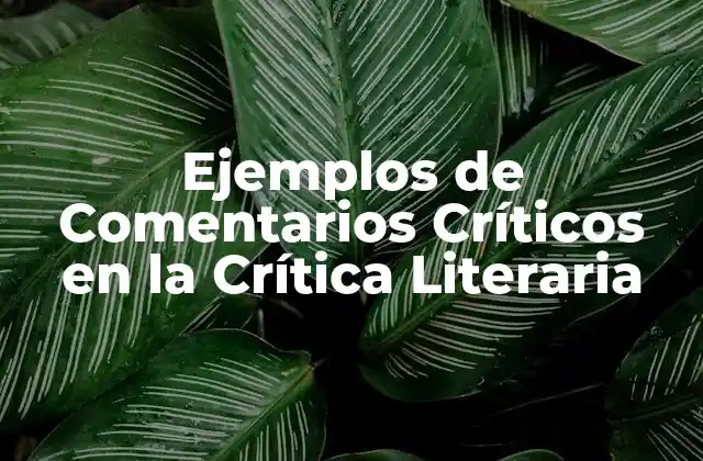 Ejemplos de Comentarios Críticos en la Crítica Literaria