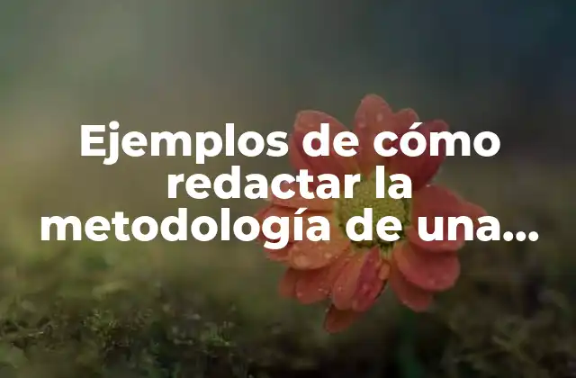 Ejemplos de Cómo Redactar la Metodología de una Investigación: Guía Detallada y Completa
