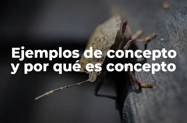 Ejemplos de Concepto y por Qué es Concepto