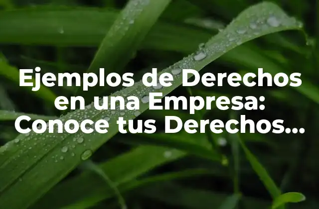 Ejemplos de Derechos en una Empresa: Conoce Tus Derechos Laborales