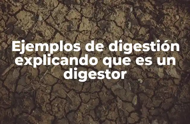 El rol del digestor en los procesos biológicos y tecnológicos