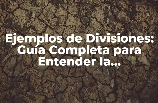 Ejemplos de Divisiones: Guía Completa para Entender la Organización Empresarial