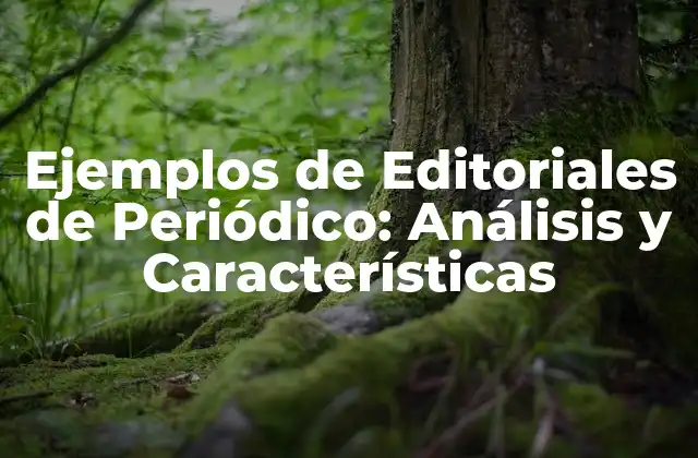 Ejemplos de Editoriales de Periódico: Análisis y Características