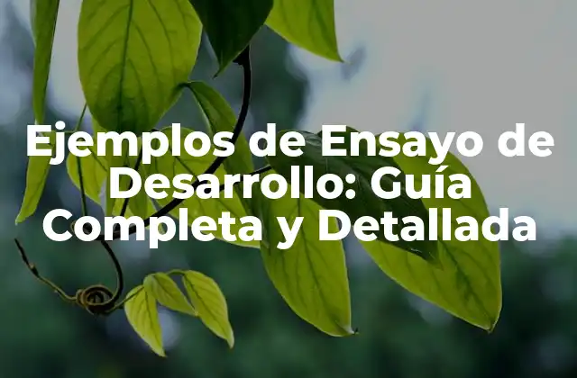 Ejemplos de Ensayo de Desarrollo: Guía Completa y Detallada