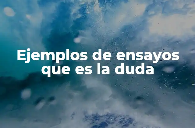 Ejemplos de Ensayos que es la Duda 2 La importancia de explorar la duda en los ensayos académicos