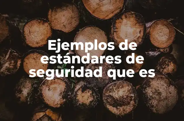 Ejemplos de Estándares de Seguridad que es