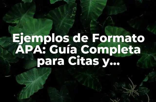 Ejemplos de Formato Apa: Guía Completa para Citas y Referencias