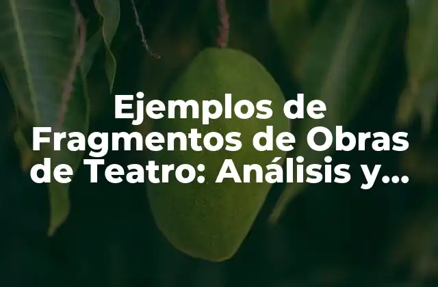 Ejemplos de Fragmentos de Obras de Teatro: Análisis y Ejemplos 2 ¿Qué es un Fragmento de una Obra de Teatro?