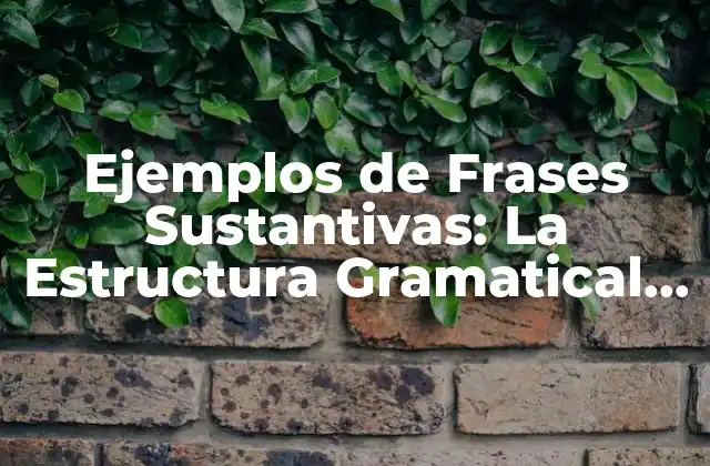 Definición y Estructura de las Frases Sustantivas