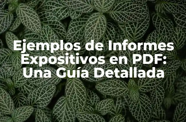 Ejemplos de Informes Expositivos en Pdf: una Guía Detallada