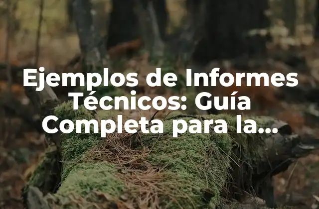 Ejemplos de Informes Técnicos: Guía Completa para la Presentación de Resultados