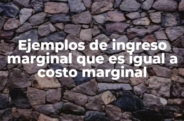 Ejemplos de Ingreso Marginal que es Igual a Costo Marginal