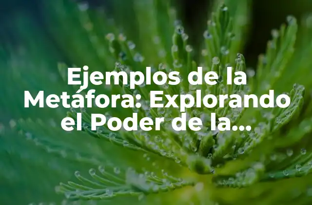 ¿Qué es una Metáfora?