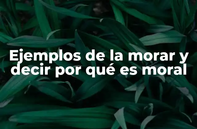 Ejemplos de la Morar y Decir por Qué es Moral
