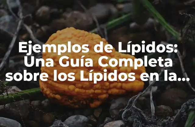 Ejemplos de Lípidos: una Guía Completa sobre los Lípidos en la Química Orgánica