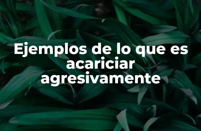 Ejemplos de Lo que es Acariciar Agresivamente